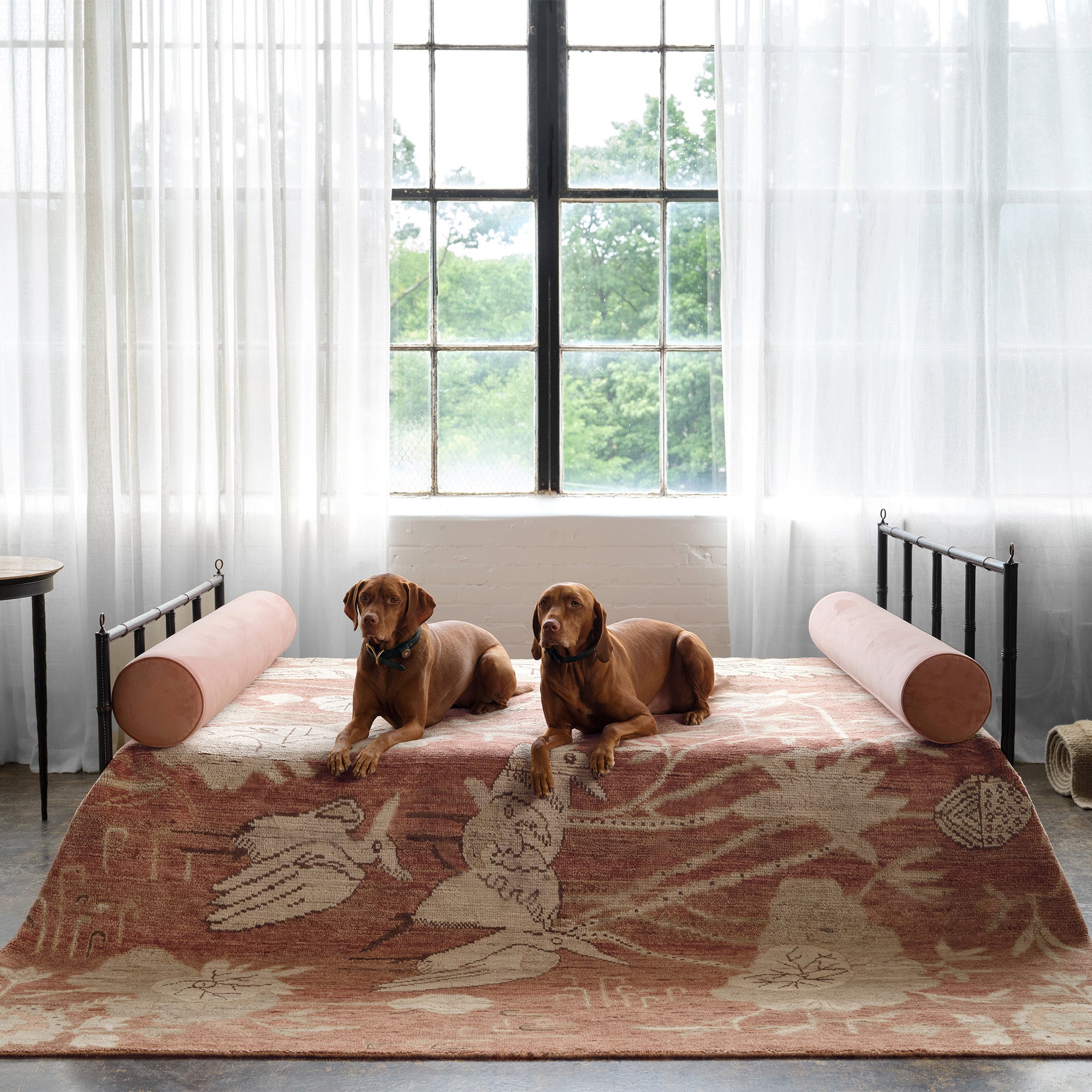 Bradley Odom x Jaipur Living | Avis ABO02