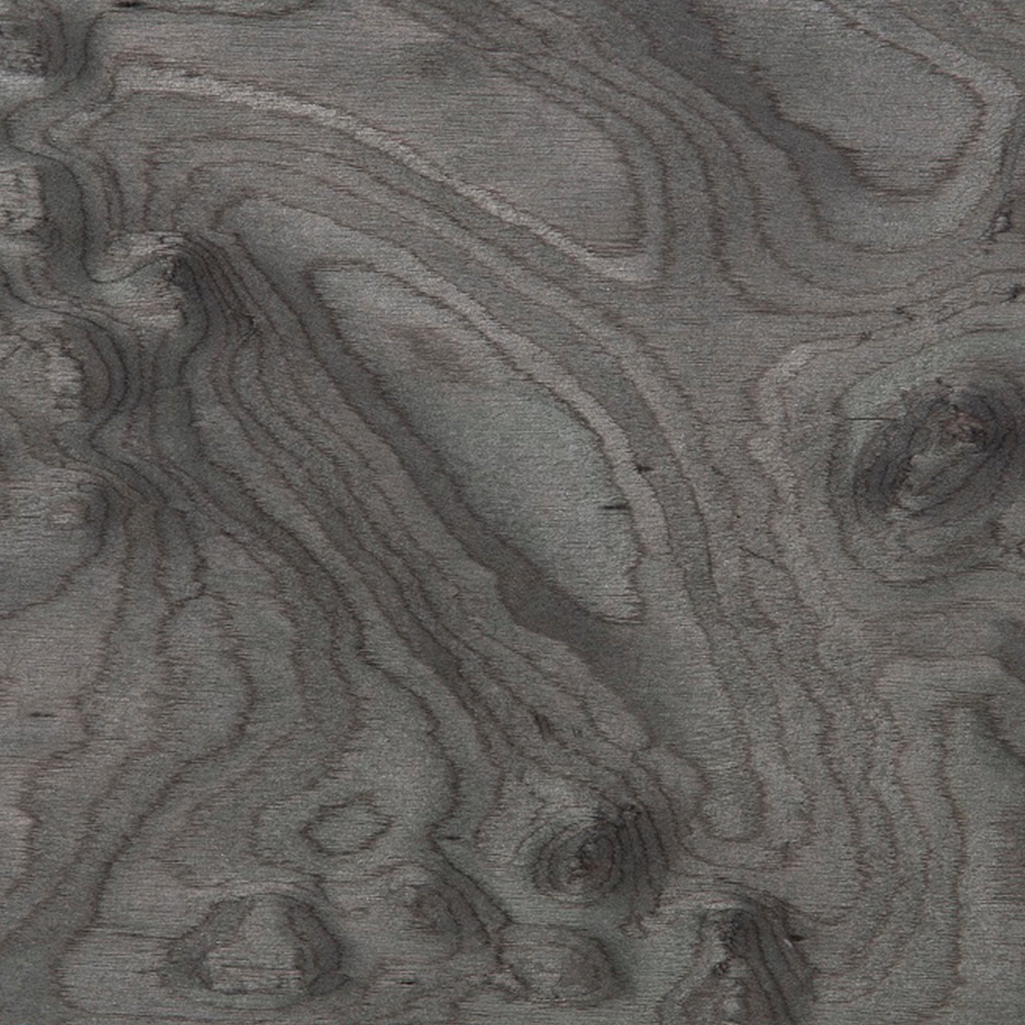 Wood Finish | Veneer | Grey Ashe