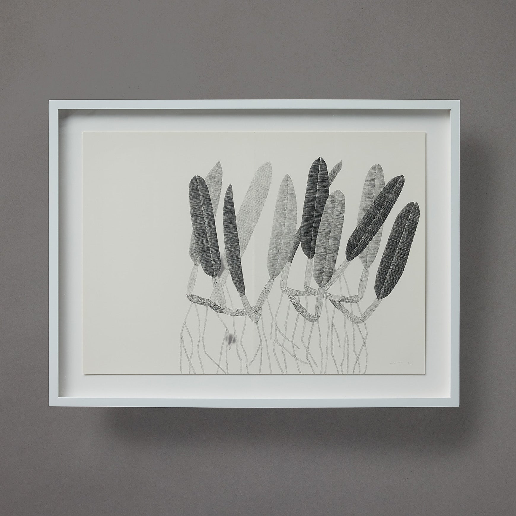 Brett Smith | Orchid Series | 11