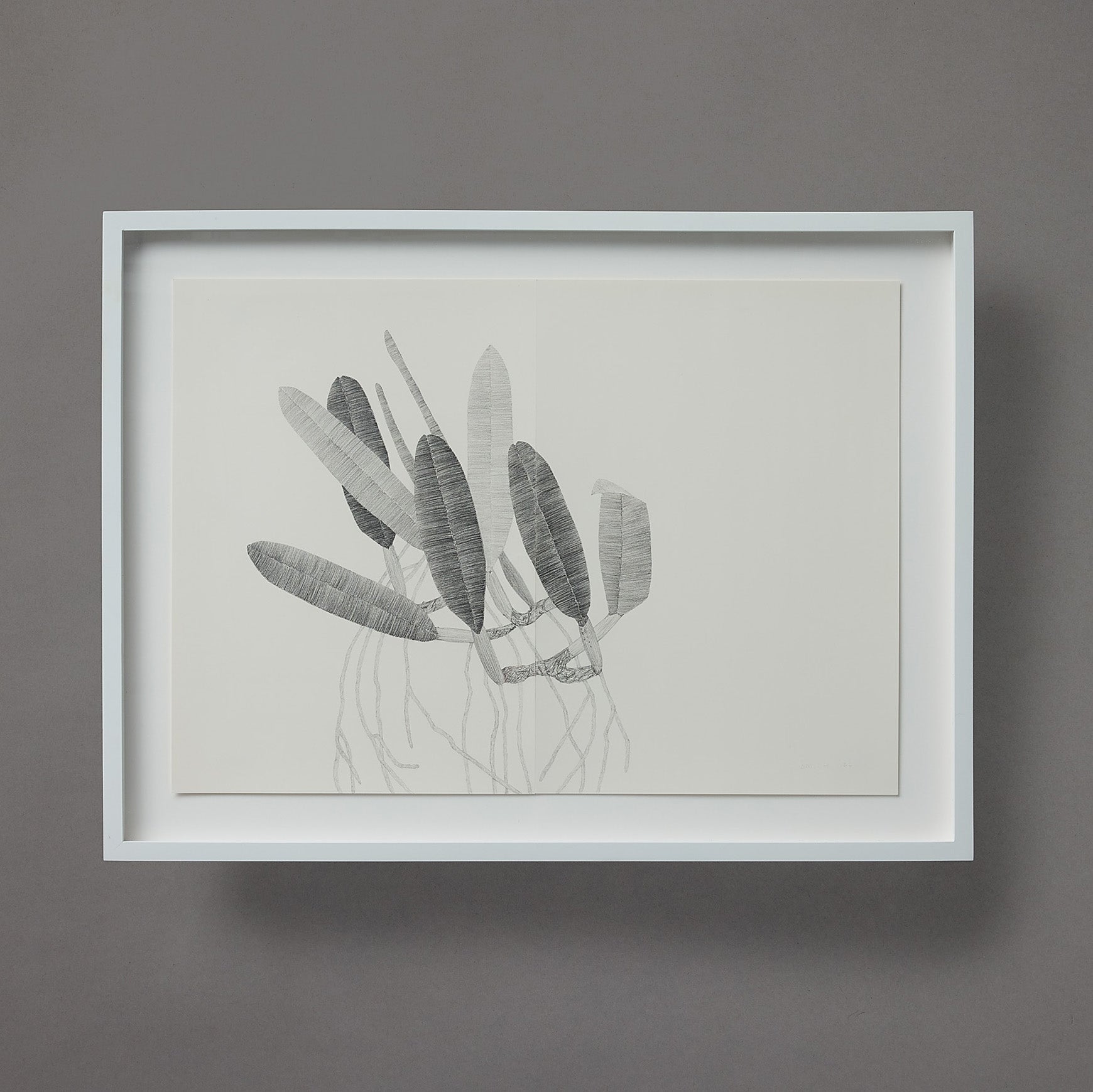 Brett Smith | Orchid Series | 13