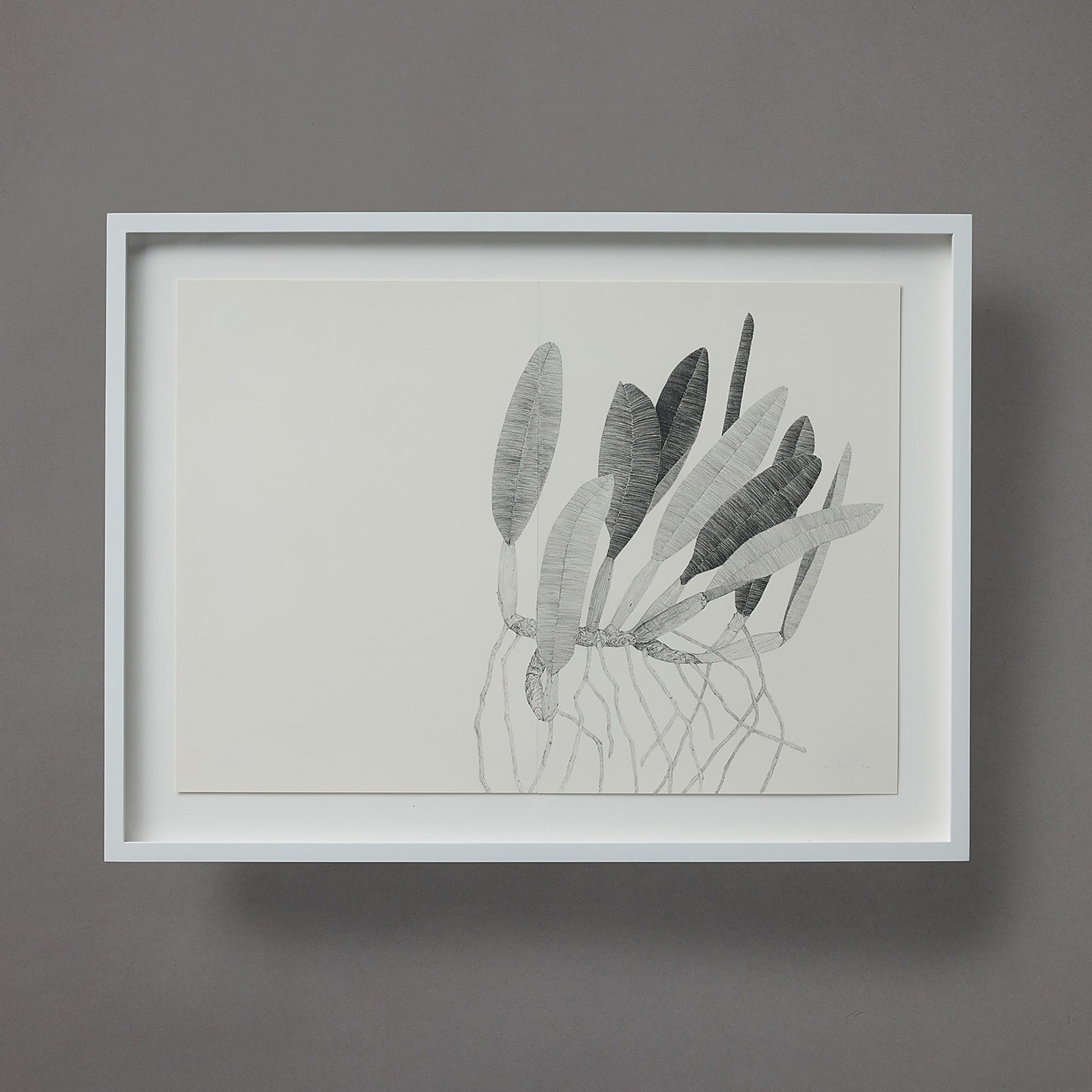 Brett Smith | Orchid Series | 14