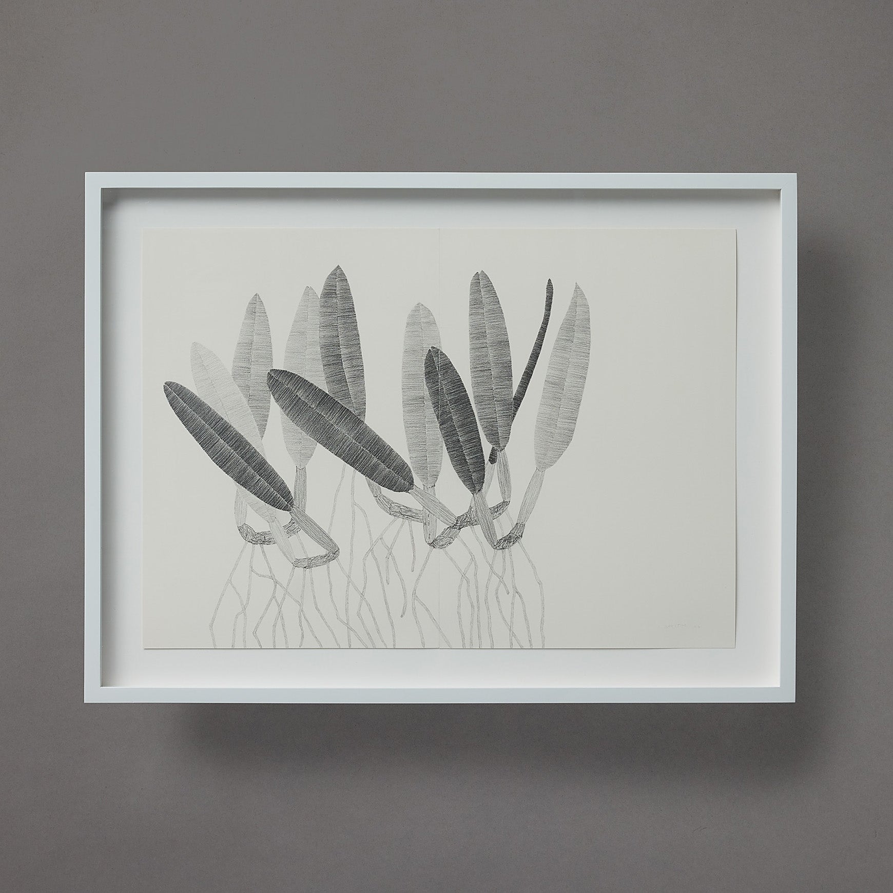 Brett Smith | Orchid Series | 15