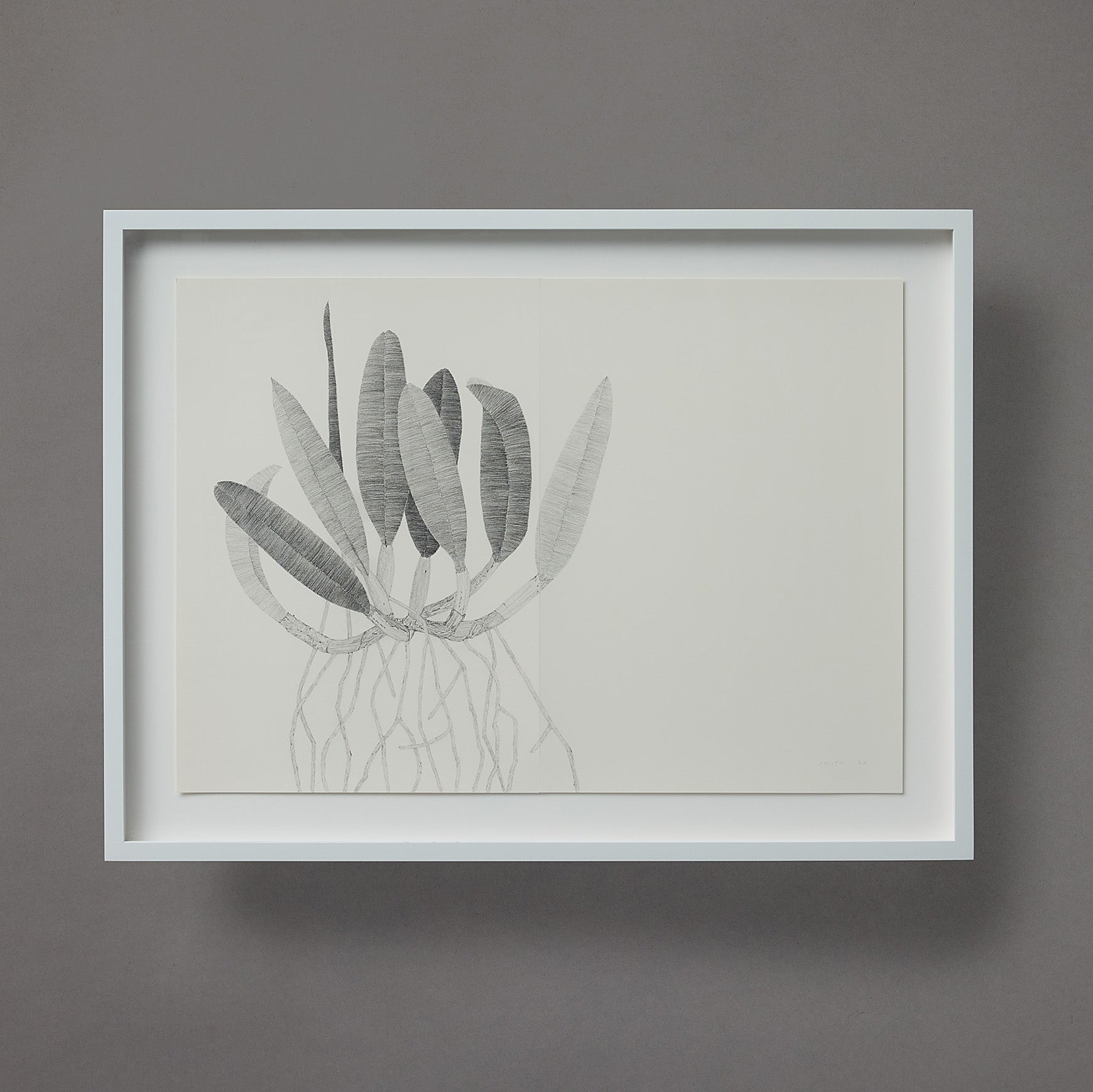Brett Smith | Orchid Series | 16