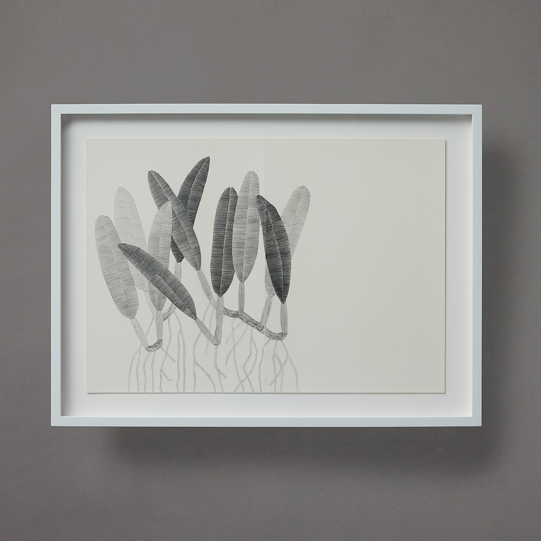 Brett Smith | Orchid Series | 17
