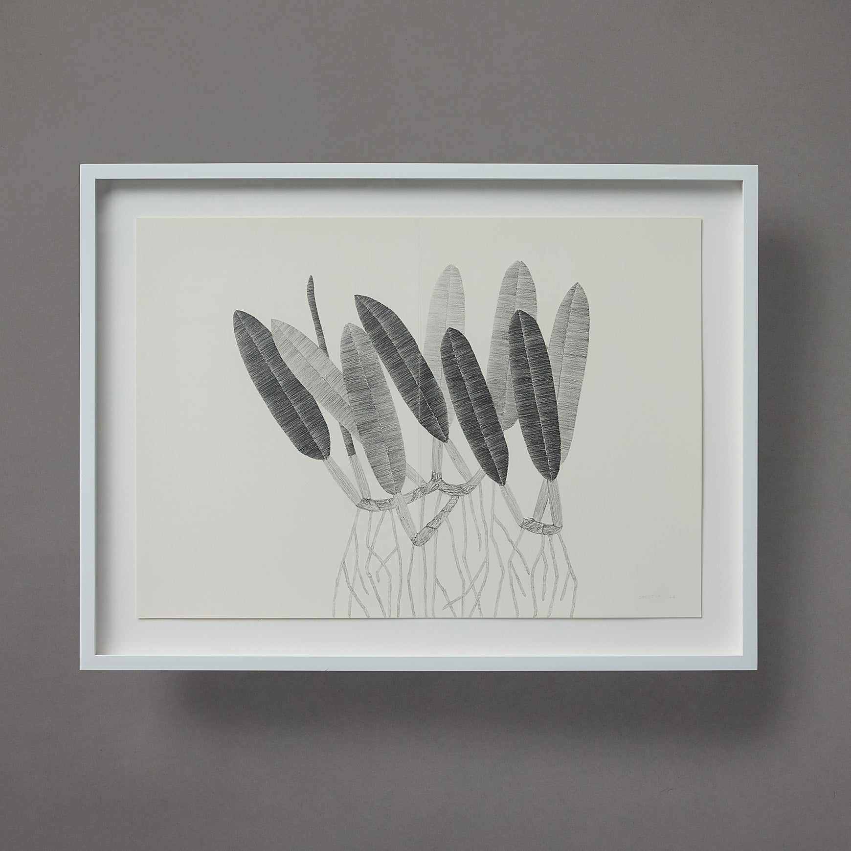 Brett Smith | Orchid Series | 18