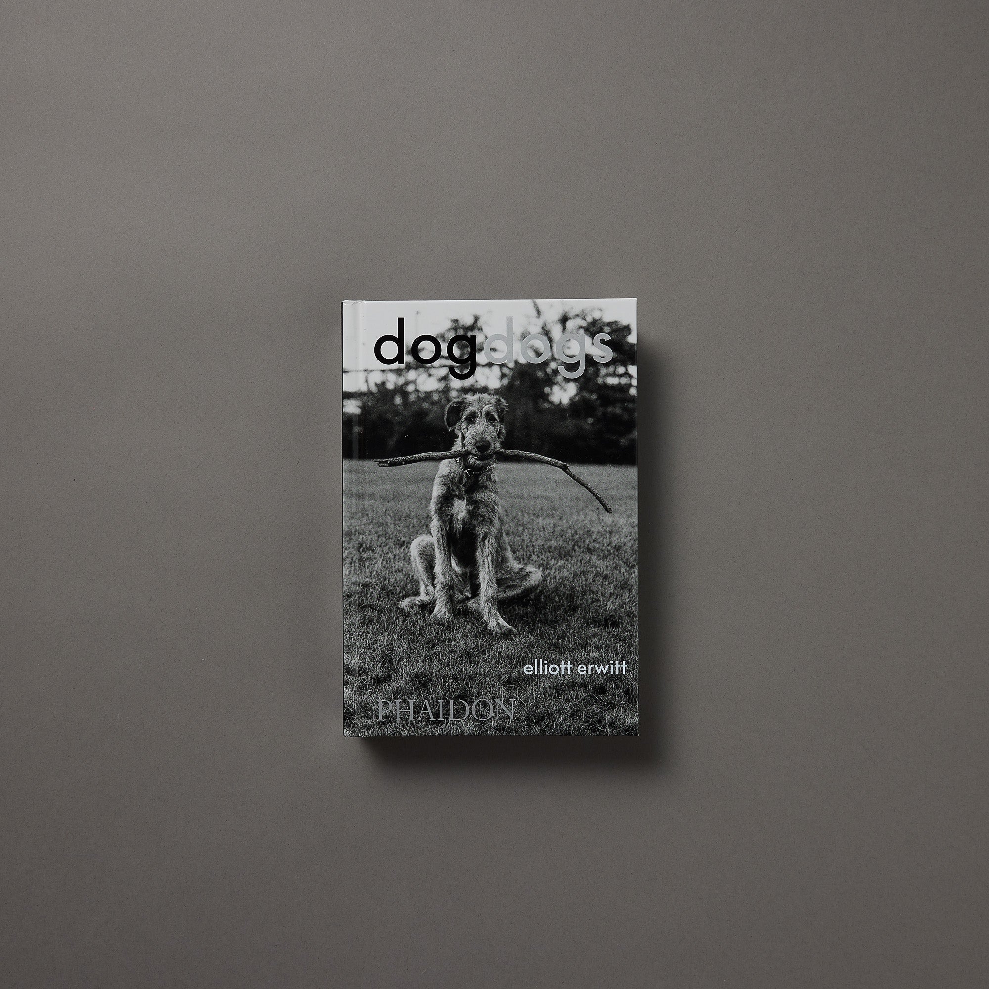 Elliott Erwitt | Dogsdogs