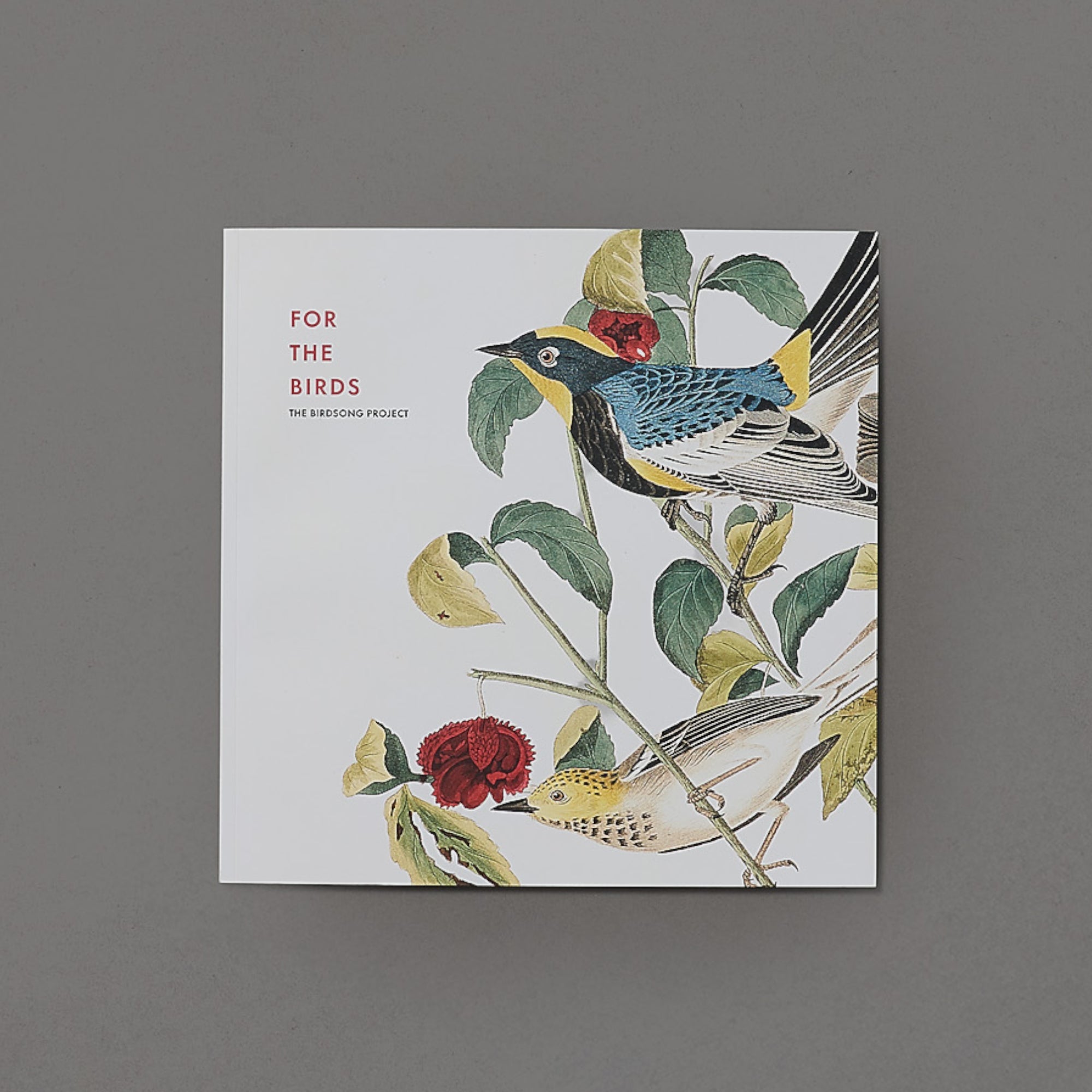 For The Birds | The Birdsong Project | Box Set