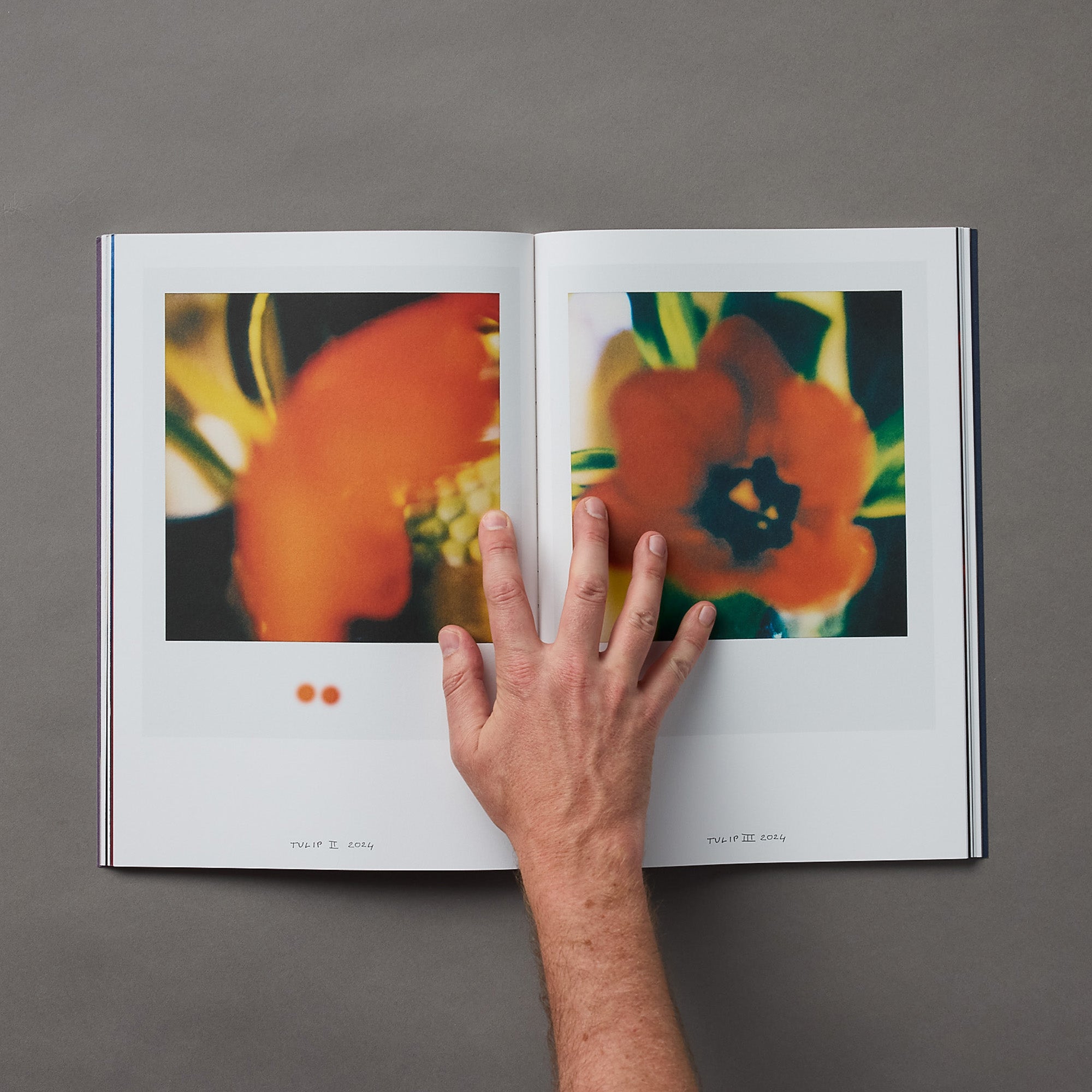 Francois Hallard | Art + Flowers