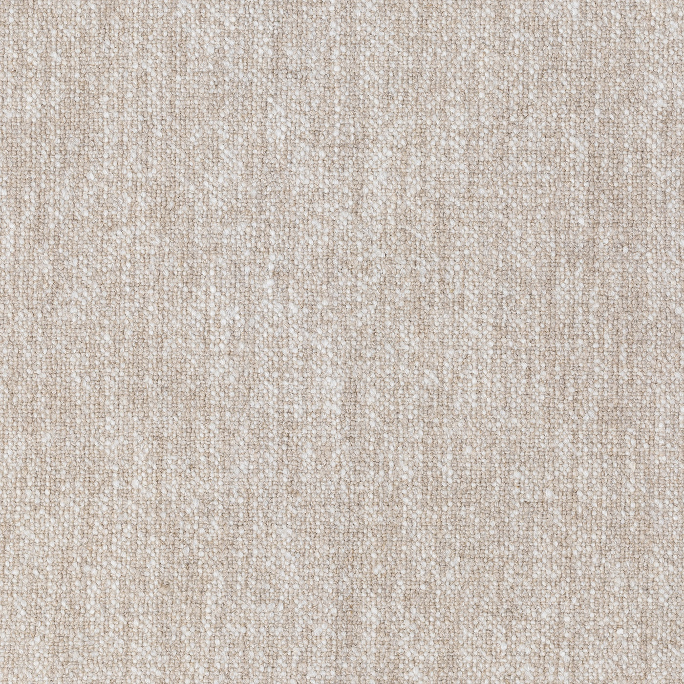 Grade E | Aristermes