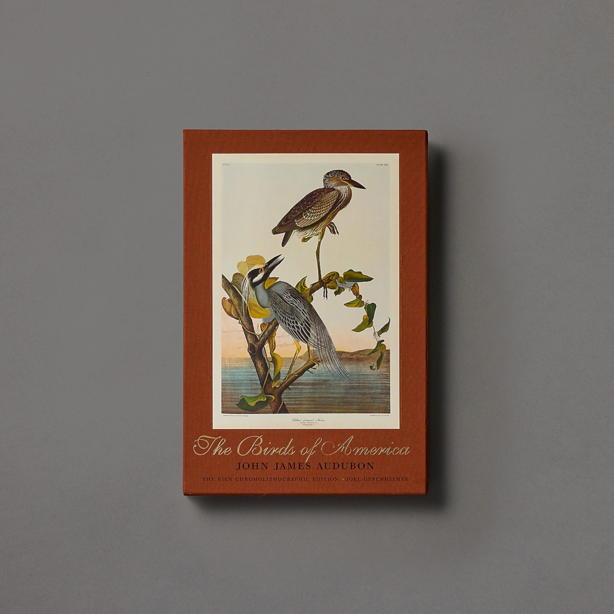 John James Audubon | The Birds of America