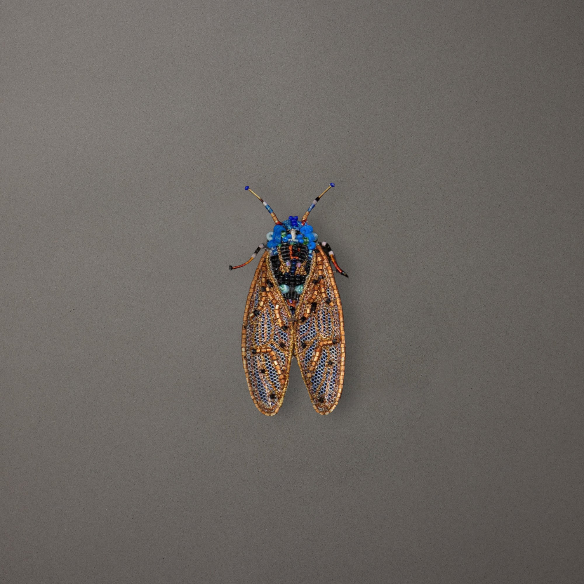 Periodical Cicada Brooch Pin
