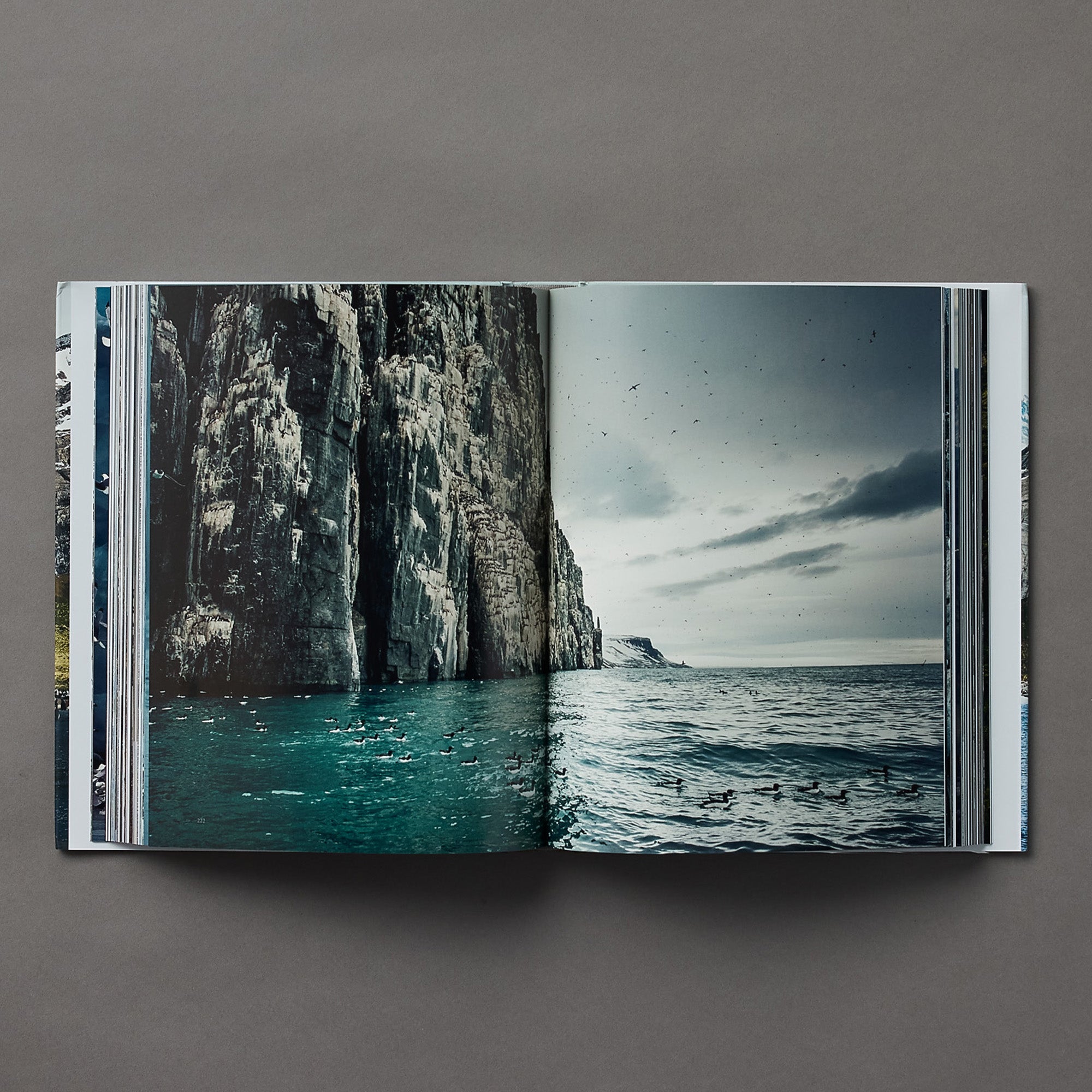 Peter and Beverly Pickford | Wild Land: A Journey into the Earth's Last Wilds