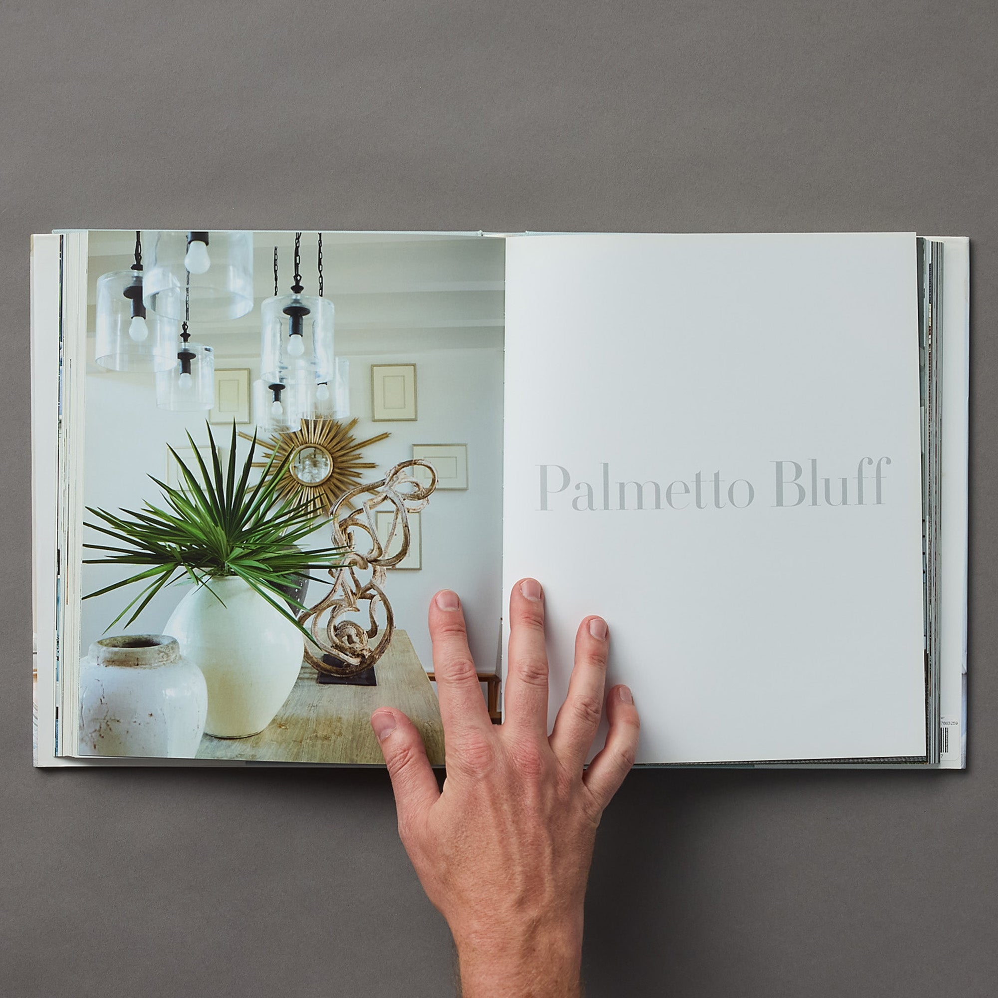 Suzanne Kasler | Sophisticated Simplicity