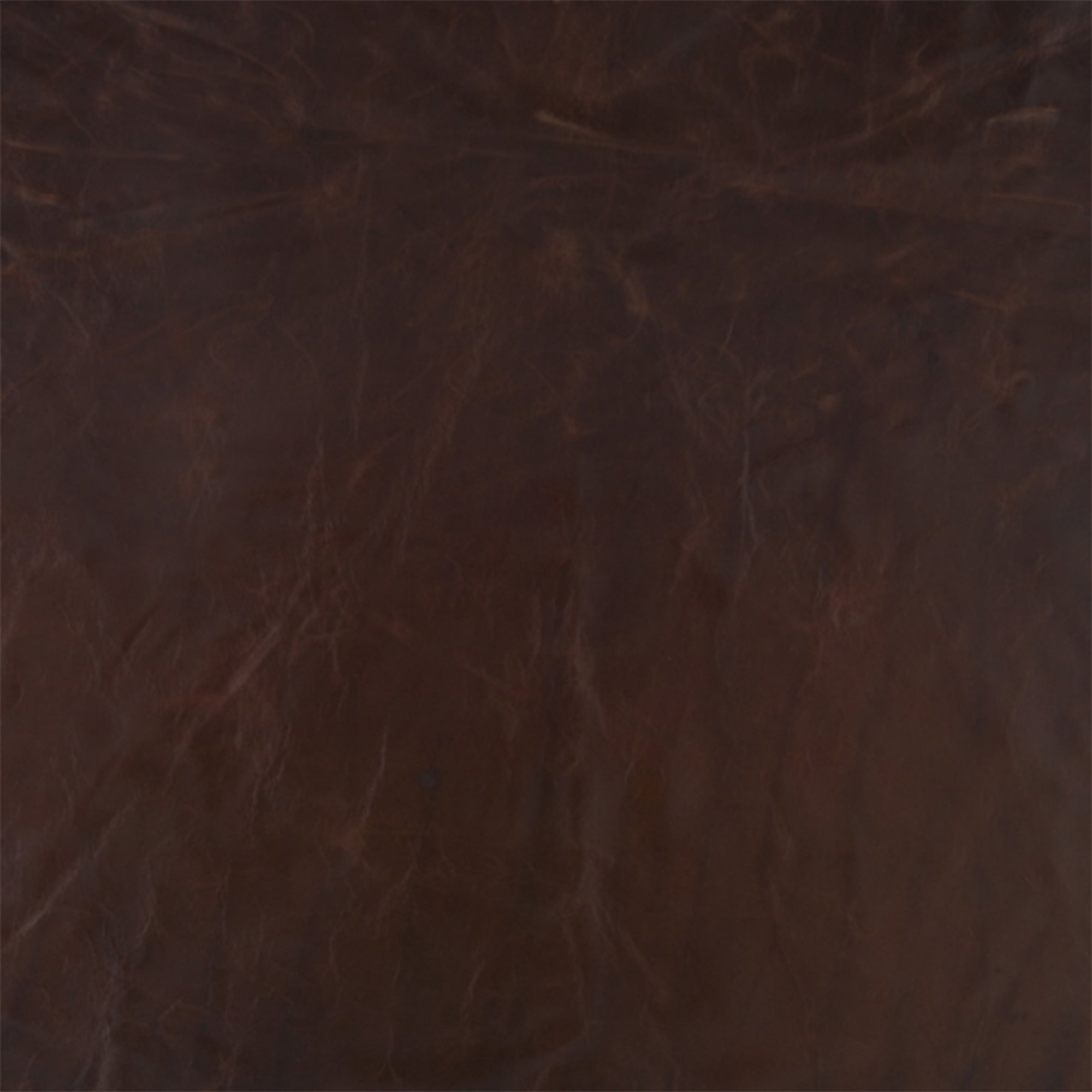 Grade 6 | Tampa Leather