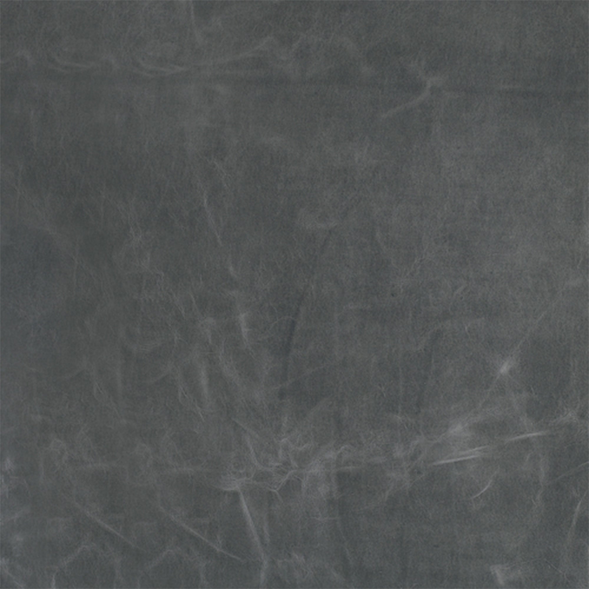 Grade 6 | Tampa Leather